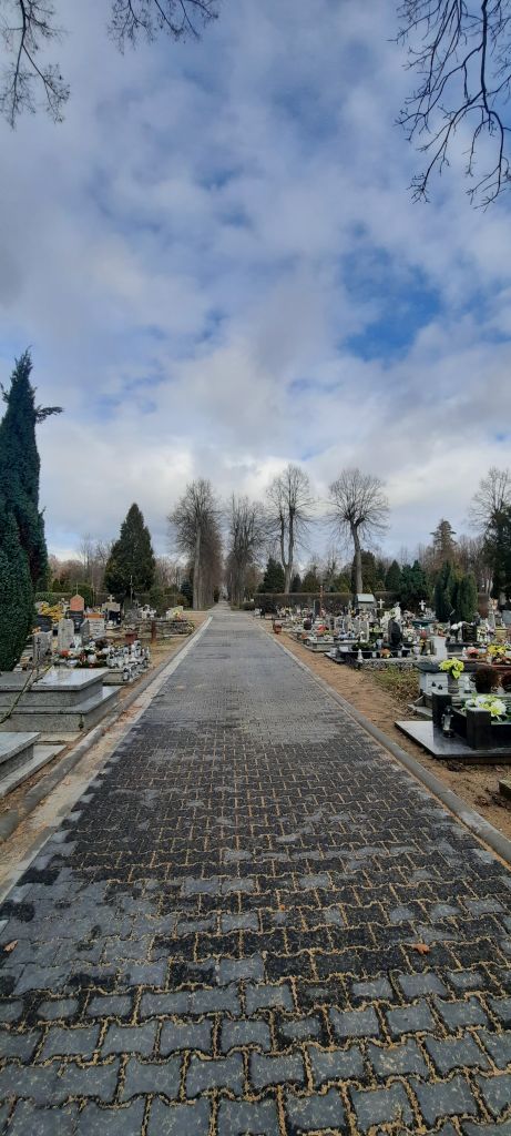 Zdjęcie alejki na cmentarzu komunalnym w Żarach
