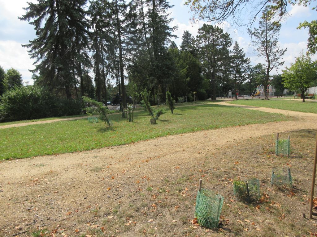 Zdjęcie gdzie powstaną kwietne łąki w Żarach