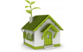 Grafika przedstawiająca zielony domek z trawą i roślinką na dachu